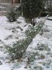 Имя файла=04-11-30-010.jpg
Размер файла=206КБ
Размеры=766x1024
Дата=Нояб 30, 2004 04-11-30-010.jpg