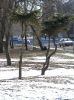 Имя файла=05-03-22-777.jpg
Размер файла=259КБ
Размеры=766x1024
Дата=Март 31, 2005 05-03-22-777.jpg
