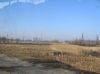 Имя файла=05-11-06-0037.JPG
Размер файла=110КБ
Размеры=1024x766
Дата=Нояб 09, 2005 05-11-06-0037.JPG